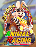 เปิดประสบการณ์ใหม่กับการทดลอง เล่น ไฮโล แสนสนุก